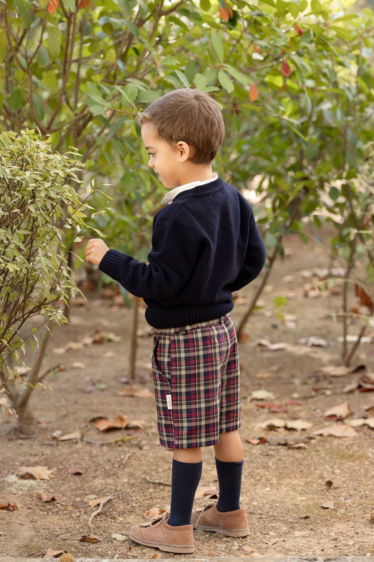 Christmas Checkered Shorts